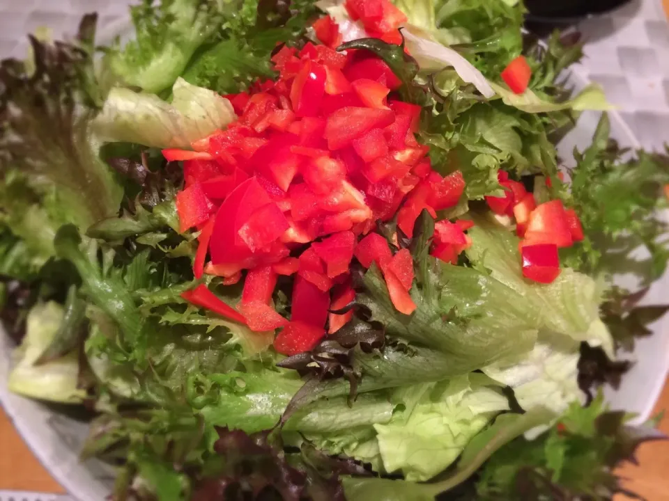 サラダ🥗
#サラダ #レタス #パプリカ|doc3387さん