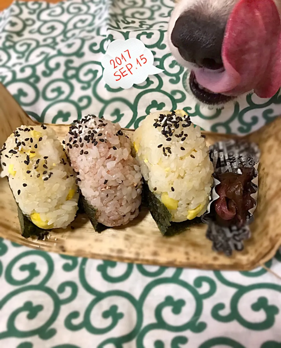 Snapdishの料理写真:おむすび
(栗ご飯に昆布とタラコ
  赤飯に梅干 )

しば漬け|mikiさん