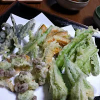 Snapdishの料理写真:野菜の天婦羅　
 #零余子のかき揚げ(零余子・刻み島オクラ・桜えび)　#ダビデの星　 #紫ししとう　 #伏見とうがらし　 #坊っちゃんかぼちゃ　 #四角豆