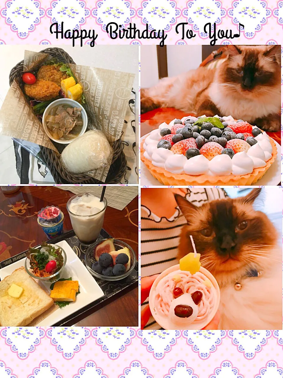 今日のお弁当と朝ごパン(๑´ڡ`๑) 猫さんの4歳の誕生日のケーキと、家族用の手作りタルト♡今日も頑張って行ってきまーす‼︎|mayumiさん