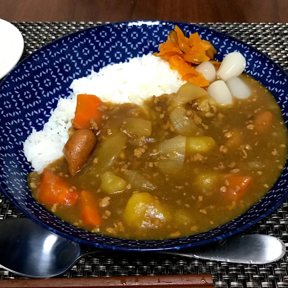 カレーライス
#晩ごはん #単身赴任飯|Koichi GOGOさん