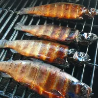 Snapdishの料理写真:Smoked Trout|mamaeriさん