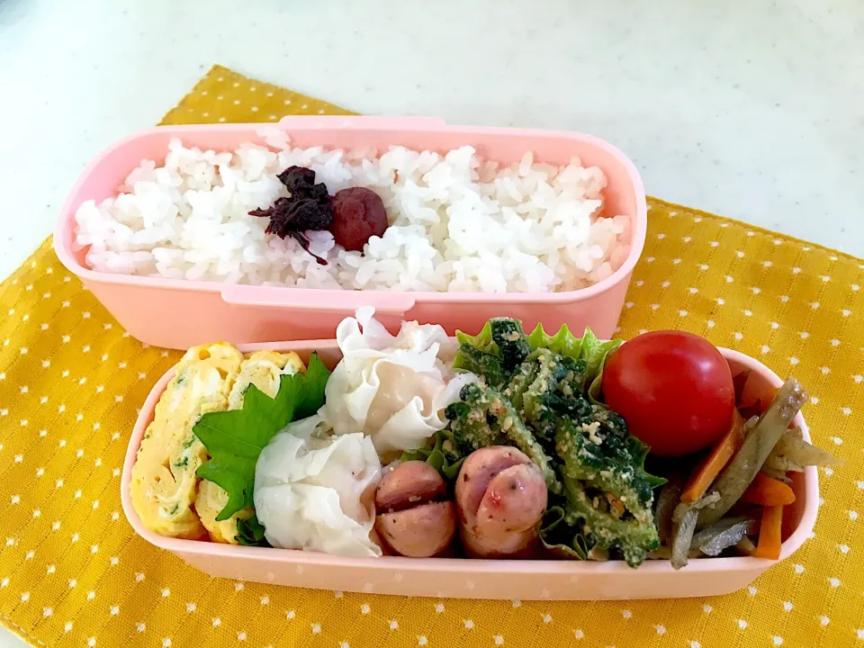 今日のお弁当🍱|くっきいさん