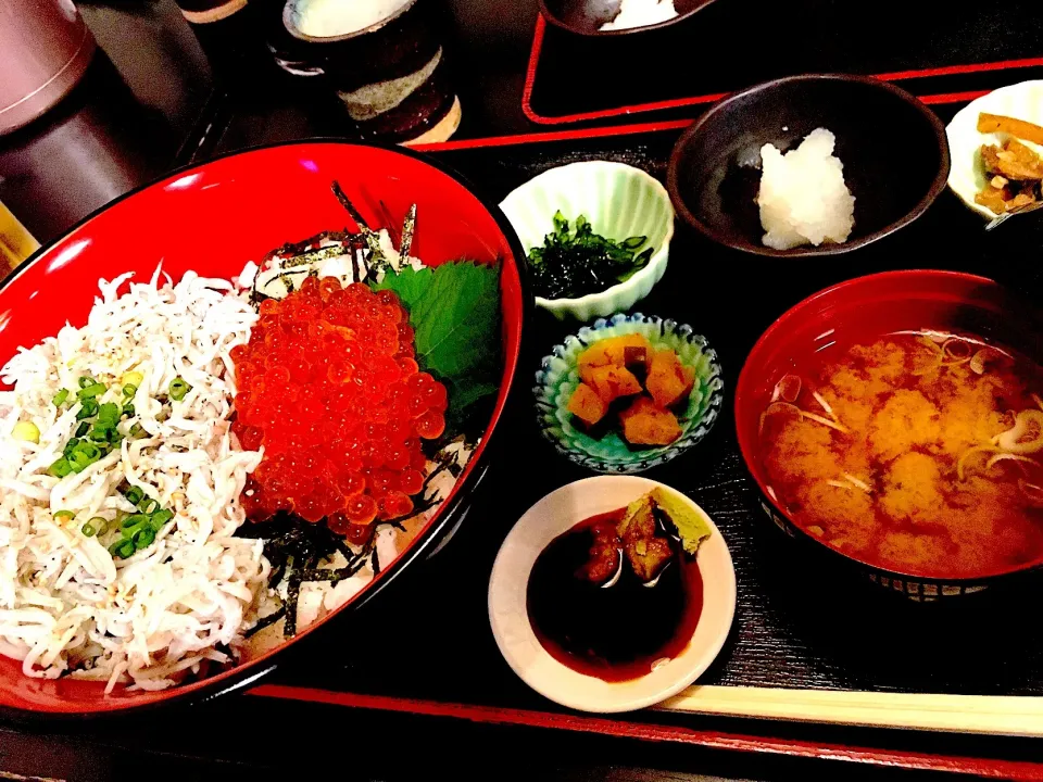 釜揚げしらす＆いくら丼@江ノ島|ラビさん