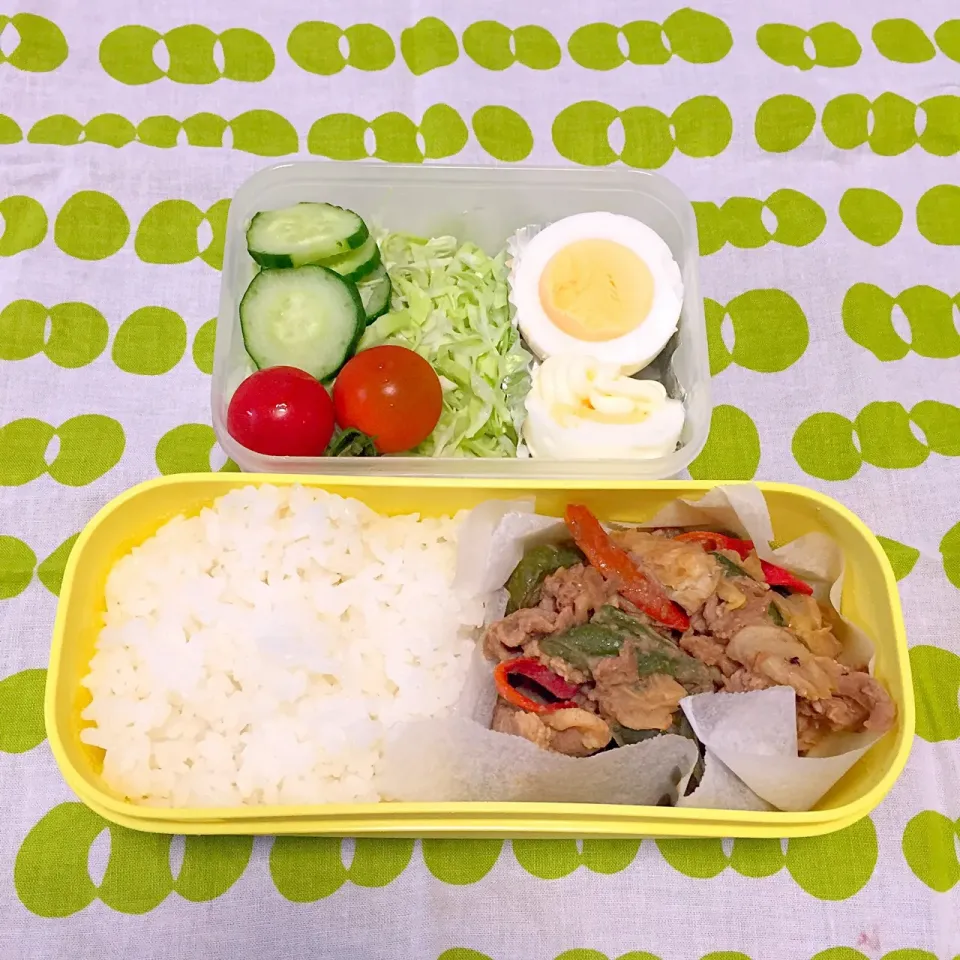 豚肉の生姜味噌炒め弁当|とにおさん