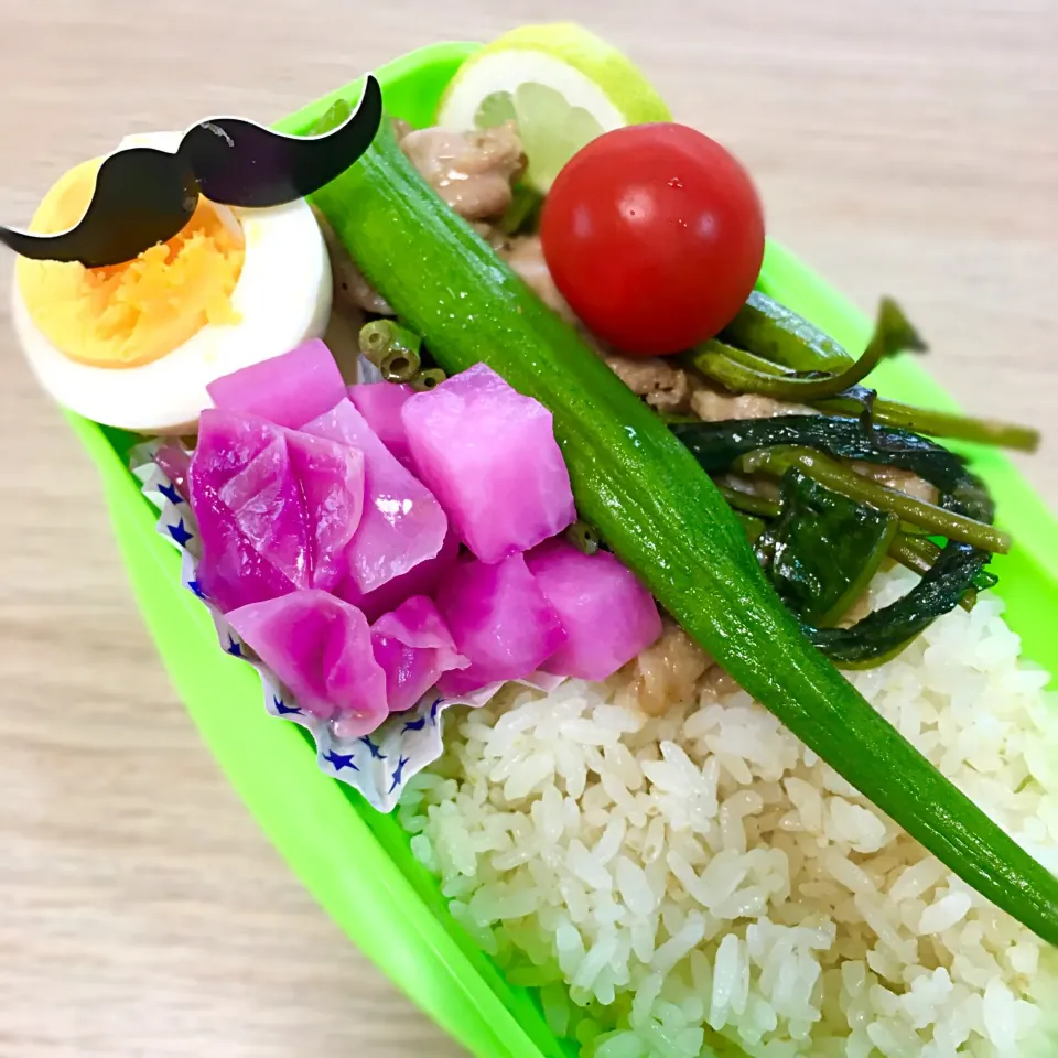 女の子弁当♪|志野さん