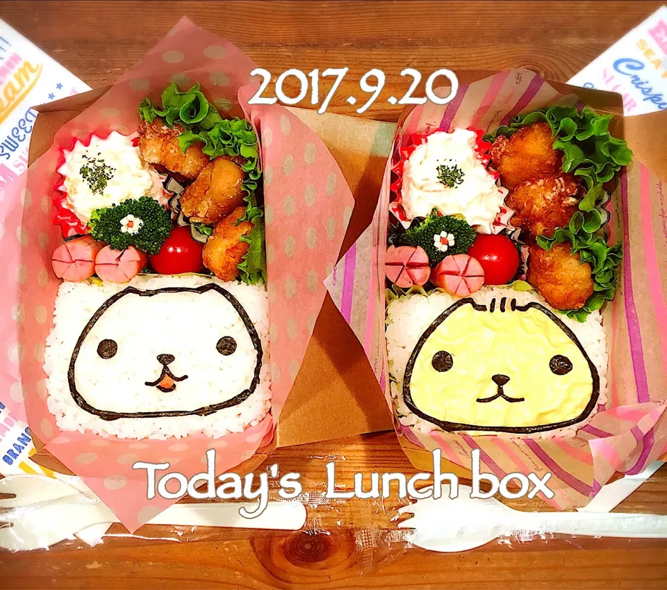 本日のOL弁＋JK弁🍱😋
カピバラさんの仲間たちシリーズ始まりました〜😅💦
今日は、"ホワイトさん"と"ひだまりさん"|あさちゃん☆さん