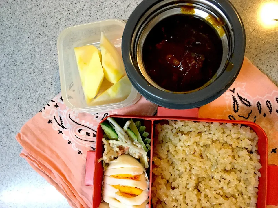 ♫今日のお弁当♫〜ハヤシライス、サラダ、りんご〜|Satokoさん