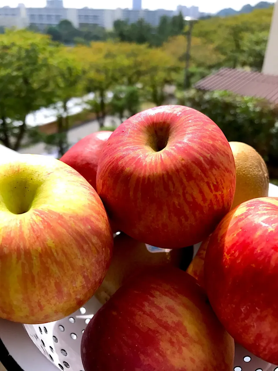 ニュージーランド産のふじ🍎🍏
焼きリンゴで食べました。|シュトママさん