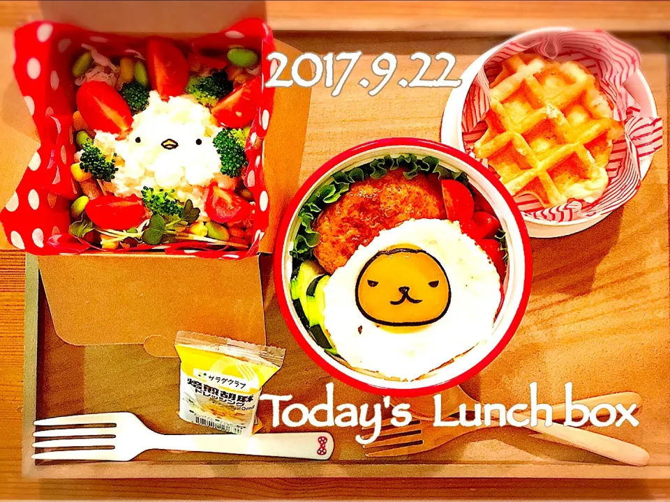 Snapdishの料理写真:本日のお弁当🍱😋 OLは、ロコモコ丼❣️ JKは、サラダ弁当❣️ カピバラさんの仲間たちシリーズは、"なまけものくん"と"あついさん" ／ ｀ ｴ ´ )✨✨|あさちゃん☆さん