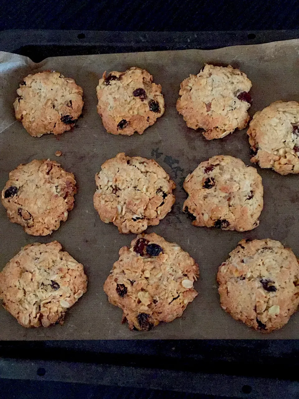 Snapdishの料理写真:エナジークッキー🍪久しぶりに焼いてみました。くるみ、オートミール、二種のレーズンいり。
米粉を半量入れたのでサクサクです|河野 ゆかりさん