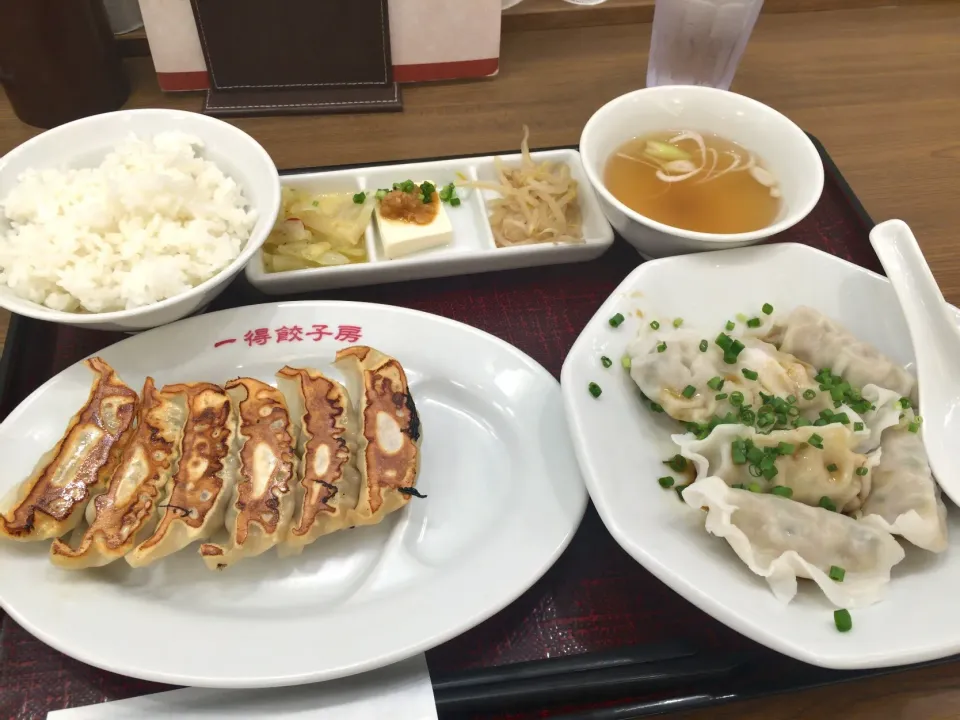 水餃子&餃子定食|T. Wonderさん