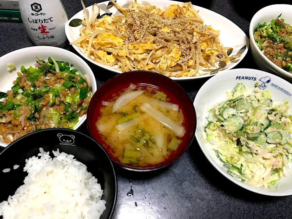 Snapdishの料理写真:白米、もち麦納豆ミョーガしそオクラ万能ネギ胡麻、玉子もやし炒め胡麻のせ、マヨツナきゅうりキャベツ、大根葉大根味噌汁|ms903さん