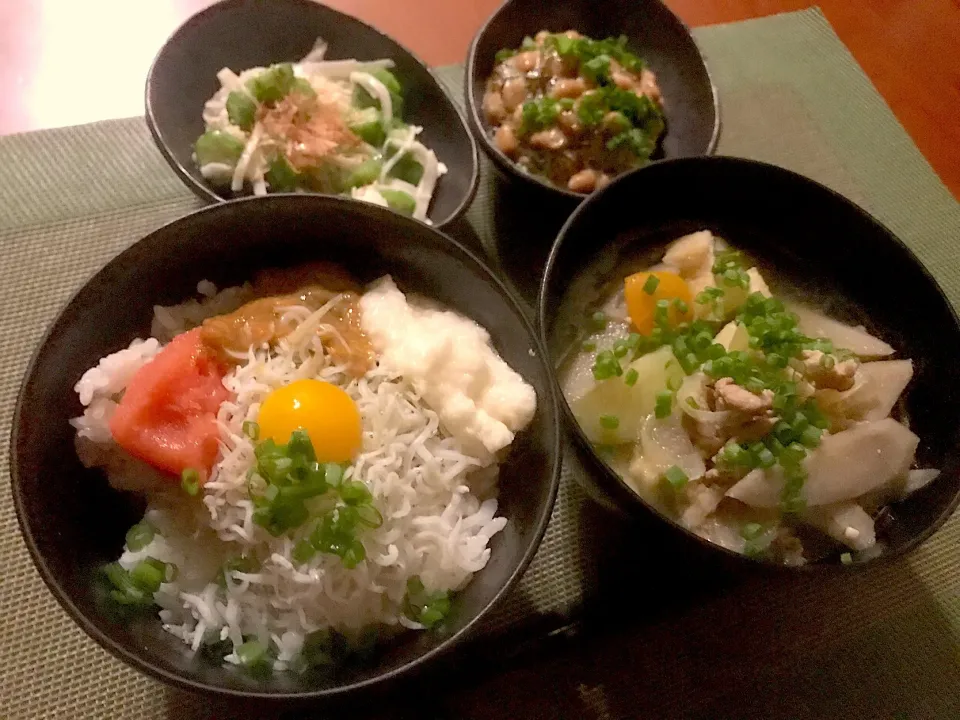 whitebait rice bowl🍚海鮮しらす丼 Miso soup w/pork& vegetables ♨️豚汁 大和芋&ｵｸﾗ･もずく&納豆|🌈Ami🍻さん