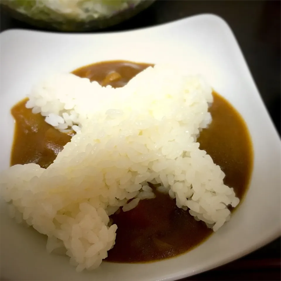 カラー空を飛ぶご飯飛行機w|けんママさん