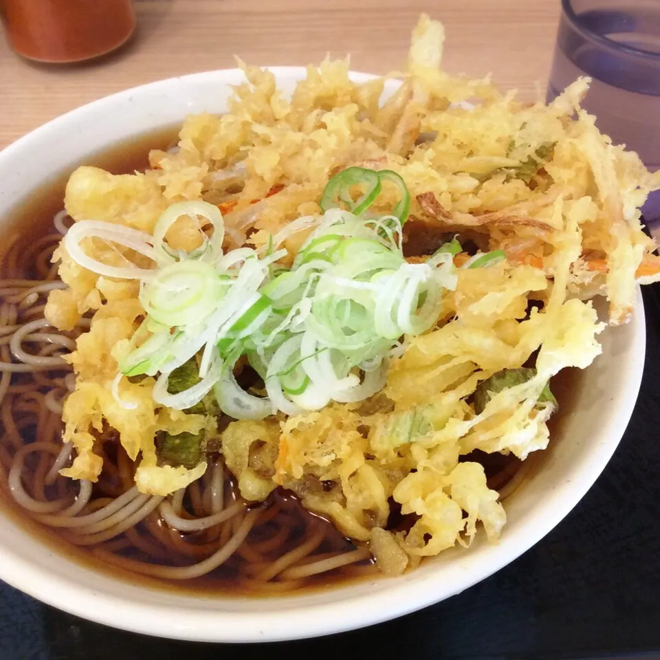 かき揚げ蕎麦 麺大盛り 2017.9.25|キラ姫さん