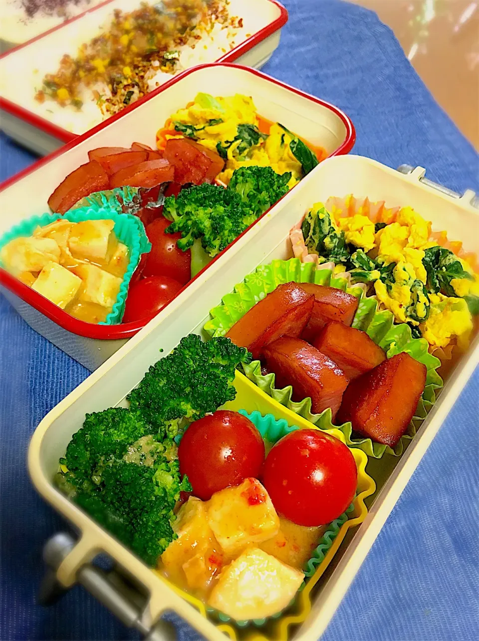 Snapdishの料理写真:9月26日  JK2ハンドボール部娘向け&奥さん向けお弁当

小松菜卵焼き
ハムステーキ
ブロッコリー
ミニトマト
ゴロゴロチキン胡麻和え|高橋陽一さん