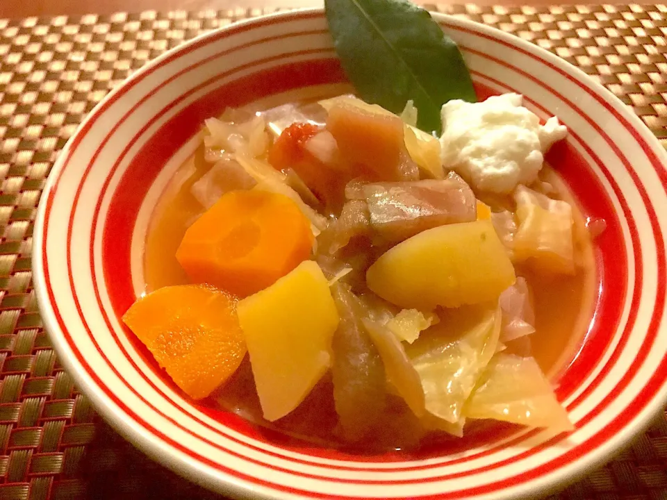 борщ<Borscht>♨️代表的ﾛｼｱｽｰﾌﾟﾎﾞﾙｼﾁ|🌈Ami🍻さん