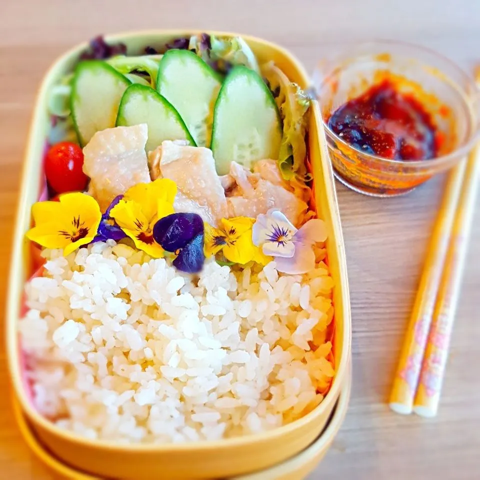 steamed chicken rice bento set|Chua Jeanさん