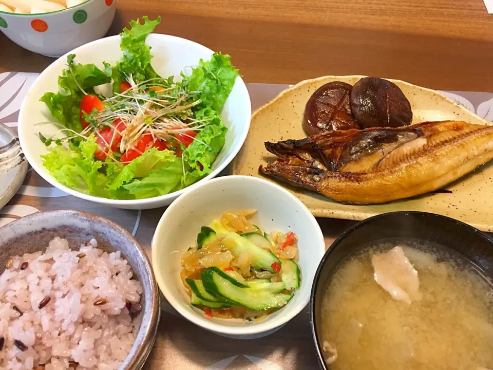 Snapdishの料理写真:晩御飯
ほっけ干物、しいたけの醤油焼き、かぼちゃとパプリカとフリルレタスとブロッコリースプラウトのサラダ、大根としめじの豚汁、クラゲきゅうり酢の物、十穀米、大根漬物|かよちゃんさん