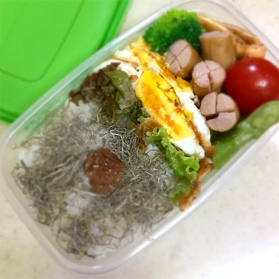 Today's  lunchbox.|hoppycowさん