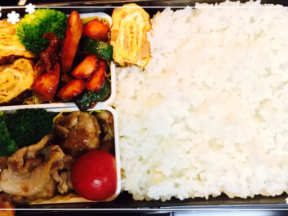 Snapdishの料理写真:生姜焼き弁当|白さくさん