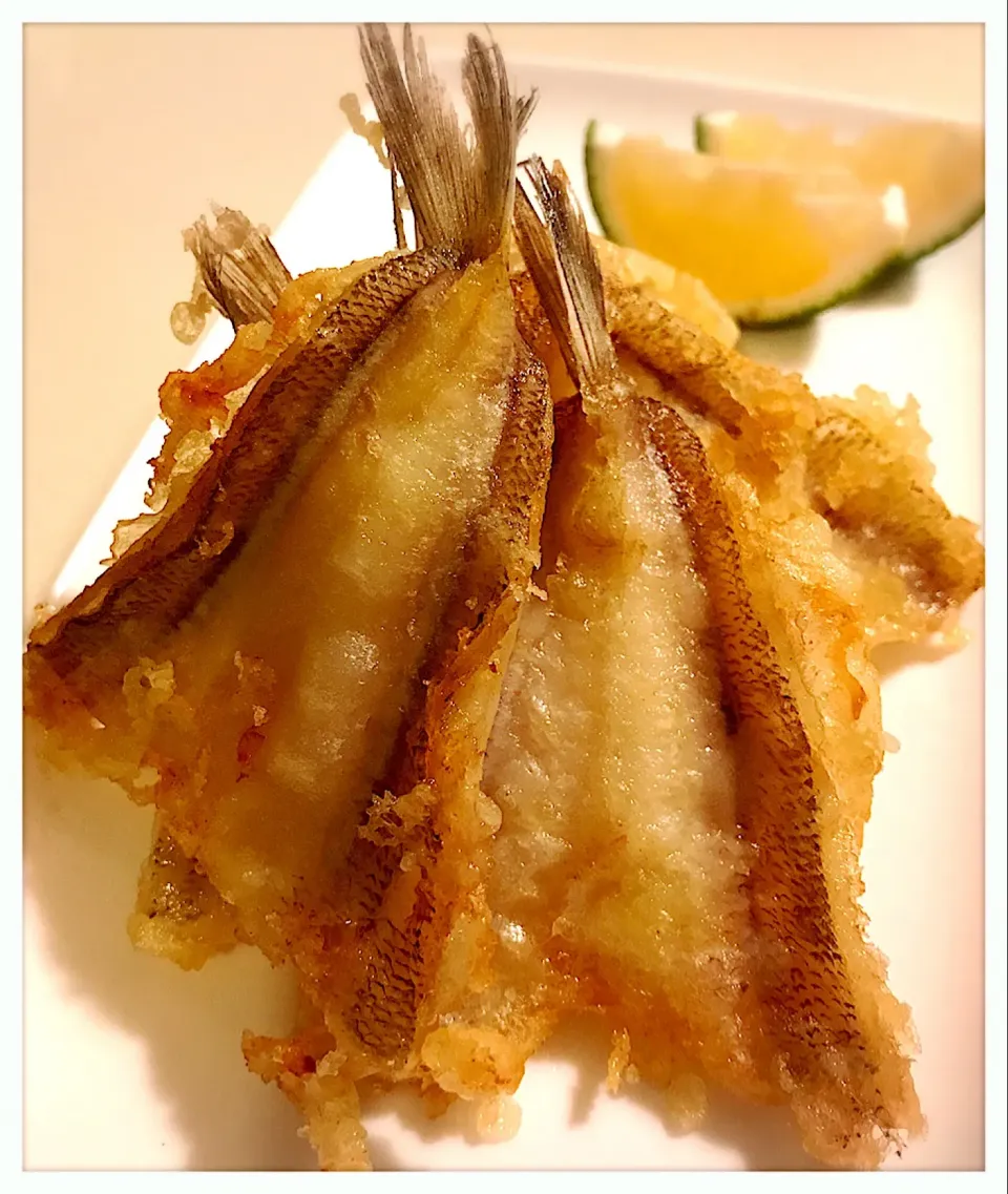 キスの天ぷら。Whiting Tempura|toyamadaさん