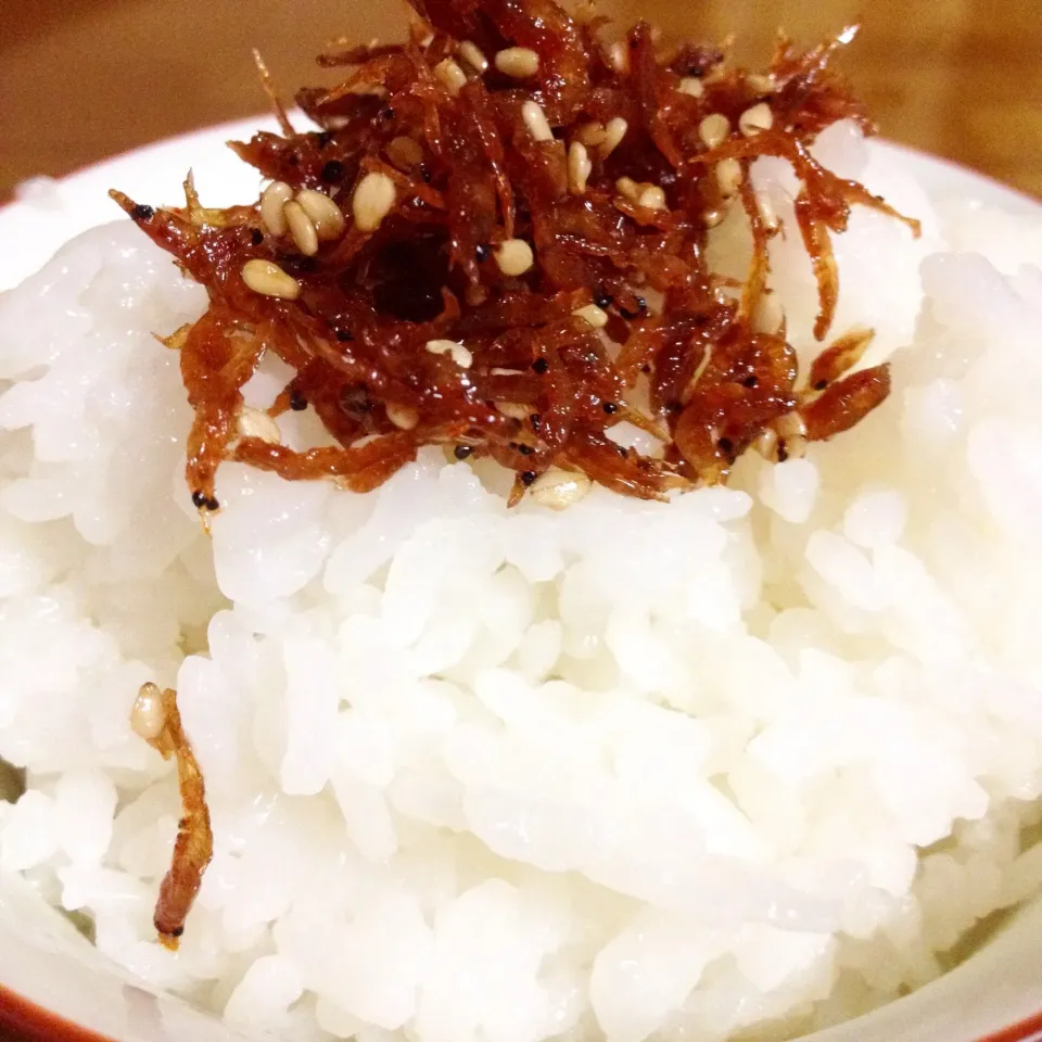 炊きたてご飯💛🍚アミエビの佃煮のっけ🤗|まいりさん