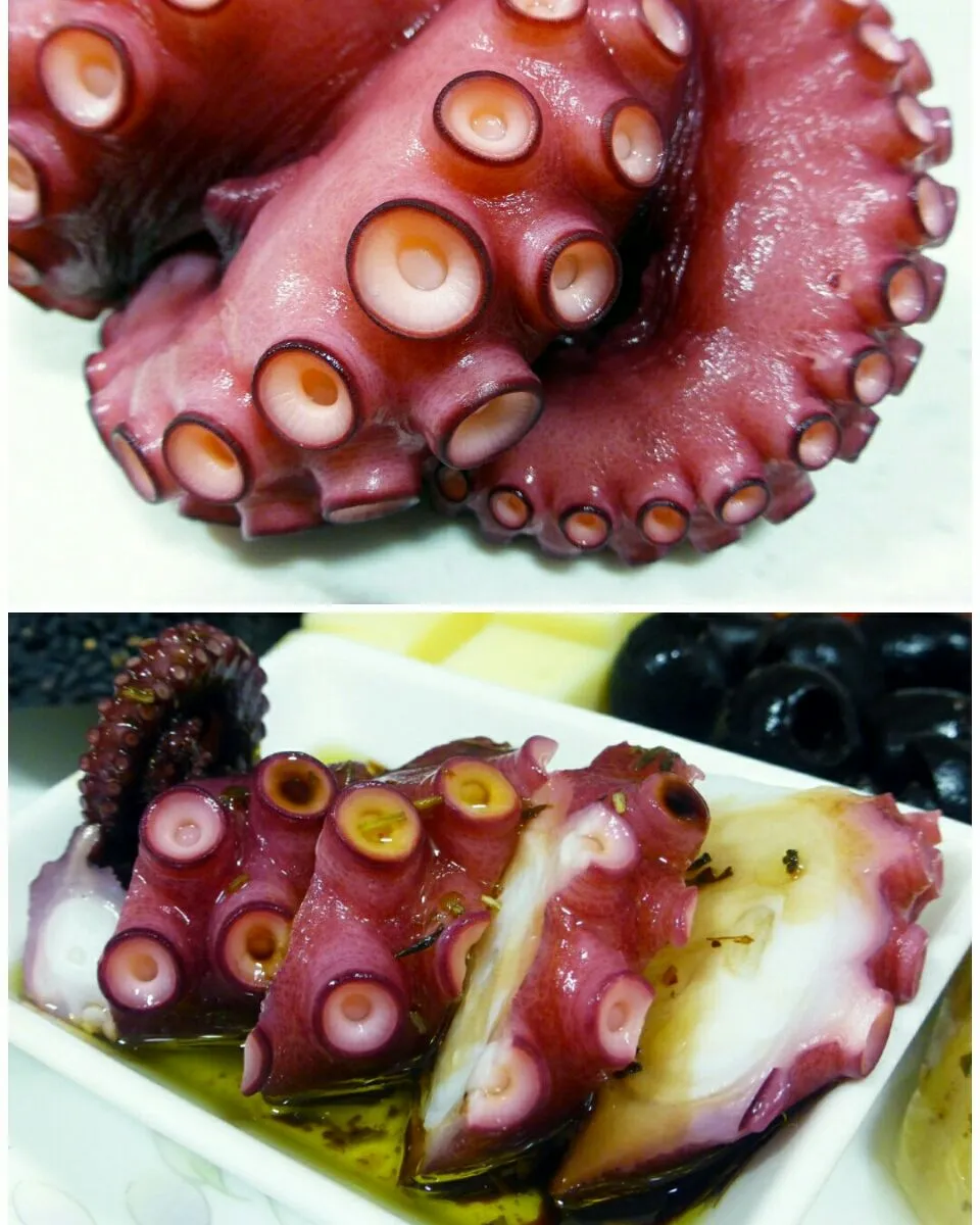 octopus|steven z.y.さん