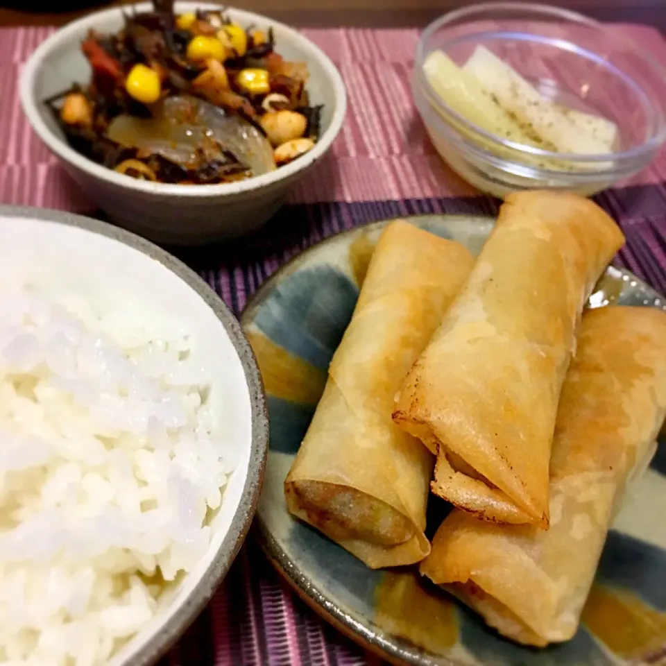 キャベツと挽肉の春巻
ひじきとツナのトマト煮
長ネギのコンソメ煮|たまさん