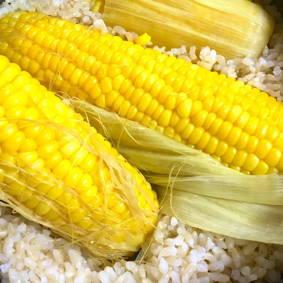 Snapdishの料理写真:夏の終わりを感じながらのとうもろこし🌽発芽玄米ごはん#発芽玄米#とうもろこしご飯|CHIZUさん