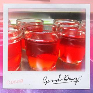 クランベリージュース ダイエットのレシピと料理アイディア12件 Snapdish スナップディッシュ