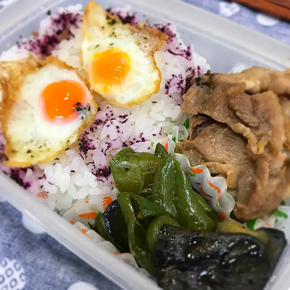 Snapdishの料理写真:いろどりわるめのお弁当|すいかさん