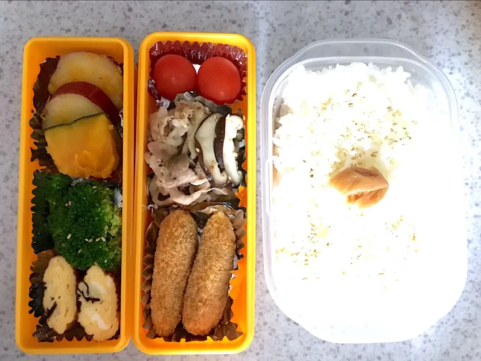 10/3 お弁当|みーぬさん