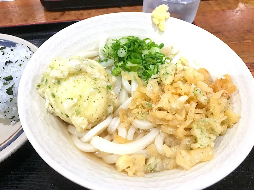 エコぽん太  かけうどん|コージ💫さん