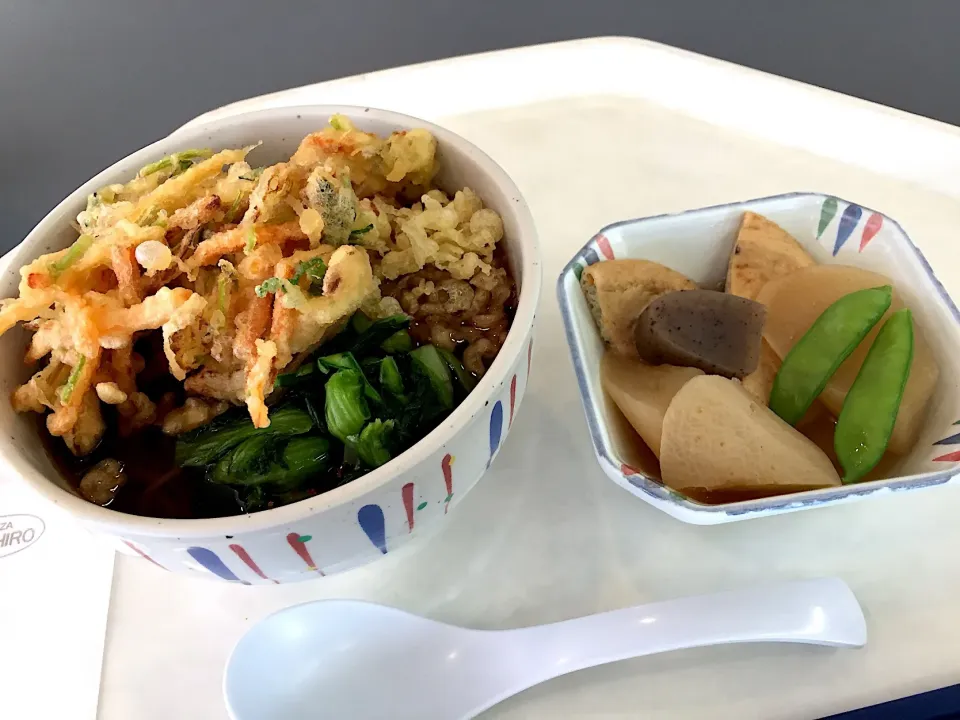 蕎麦、野菜かき揚げ、青菜、揚げ玉、がんもと大根の煮付|Tadahiko Watanabeさん