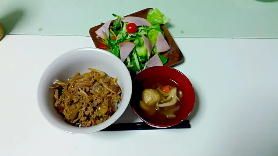 お月見🐰🎑🍶に見立てて鶏団子汁と牛丼とサラダの夕御飯🌃🍴|mky710801さん