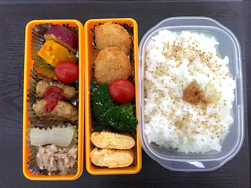 10/5 お弁当|みーぬさん