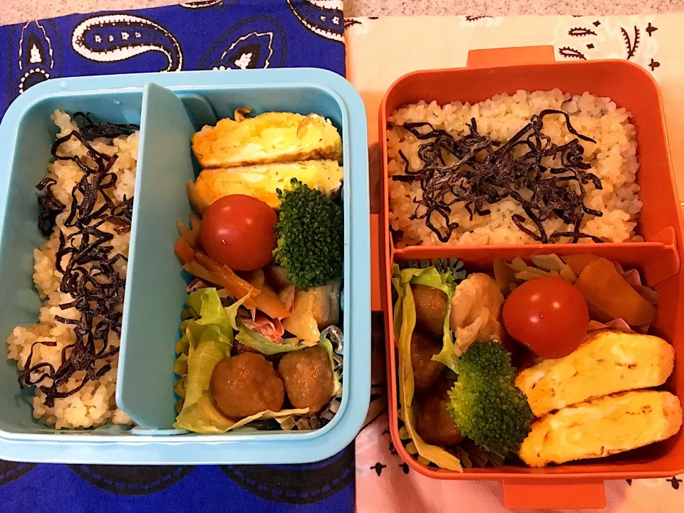 Snapdishの料理写真:♫今日のお弁当♫〜ミートボール、鶏の照り煮、きんぴら、だし巻き卵、ブロッコリー、トマト〜2人分♫|Satokoさん