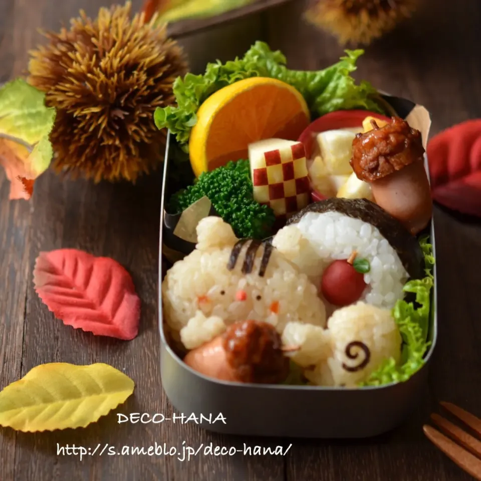 Snapdishの料理写真:りすおにぎりの秋の遠足弁当🍙|さとみ (satomi_foodart)さん