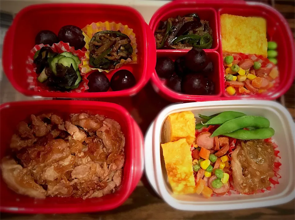 今日のお弁当  #生姜焼き#ハニーマスタード炒め#ピーマンと茄子の胡麻炒め#きゅうりとわかめの酢の物 #おかかご飯#ぶどう🍇#枝豆|な。さん