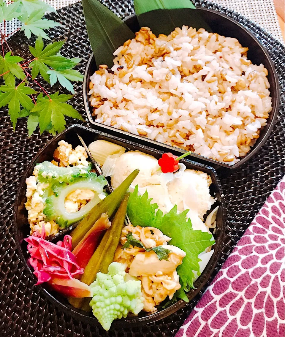 Snapdishの料理写真:🌿鶏ひき肉とおからのつくね味噌風味 🌿ササミの梅しそマリネ 🌿ゴーヤチャンプルー 🌿オクラとみょうがのだし煮おかか和え 🌿紫キャベツとロマネスコ 🌿雑穀ごはん|Ayako Sakakibaraさん