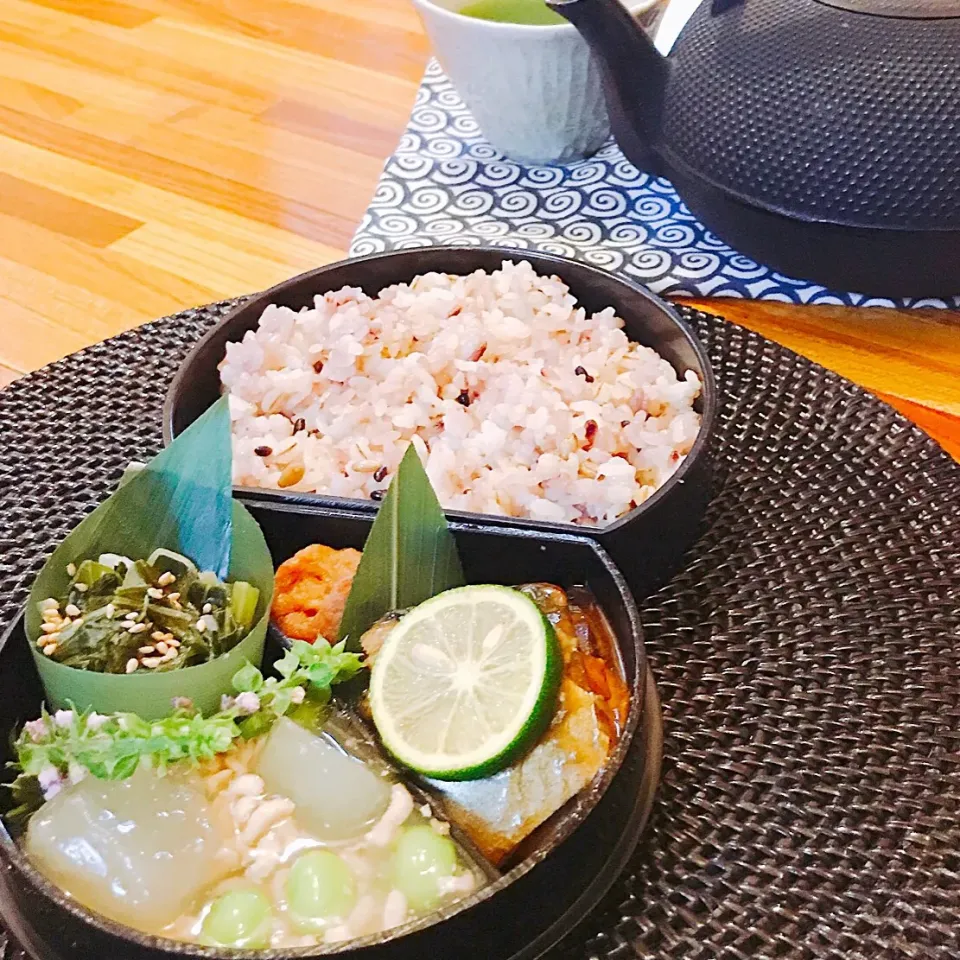 ヘルシー大人弁当  🌿サバの味噌焼き 🌿冬瓜の鶏挽肉あんかけ  枝豆入り 🌿煮豚 🌿茗荷と小松菜和え味噌風味 🌿五穀ご飯|Ayako Sakakibaraさん