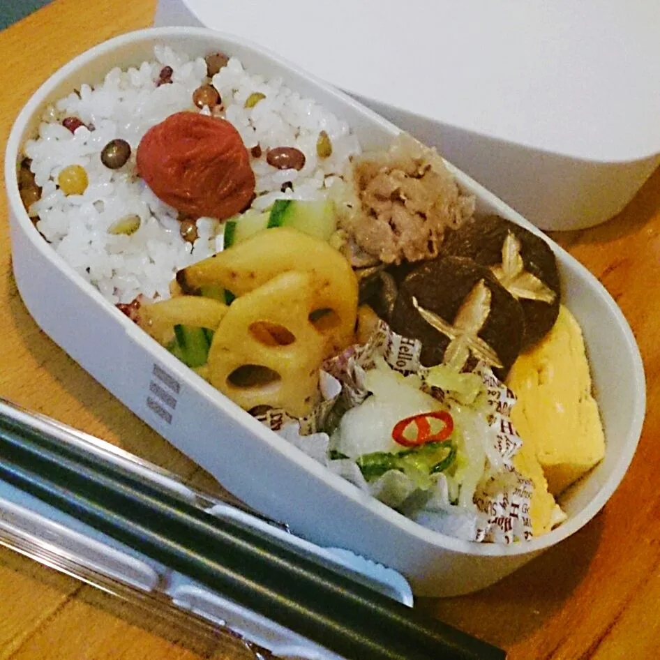 Snapdishの料理写真:豆と雑穀ご飯と豚の生姜煮弁当|mi_neneco♪さん