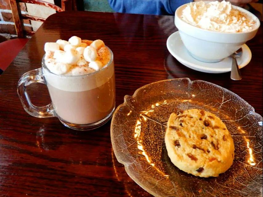 ホットチョコレートとレーズンのクッキー at mont tremblant village|mickamisaさん