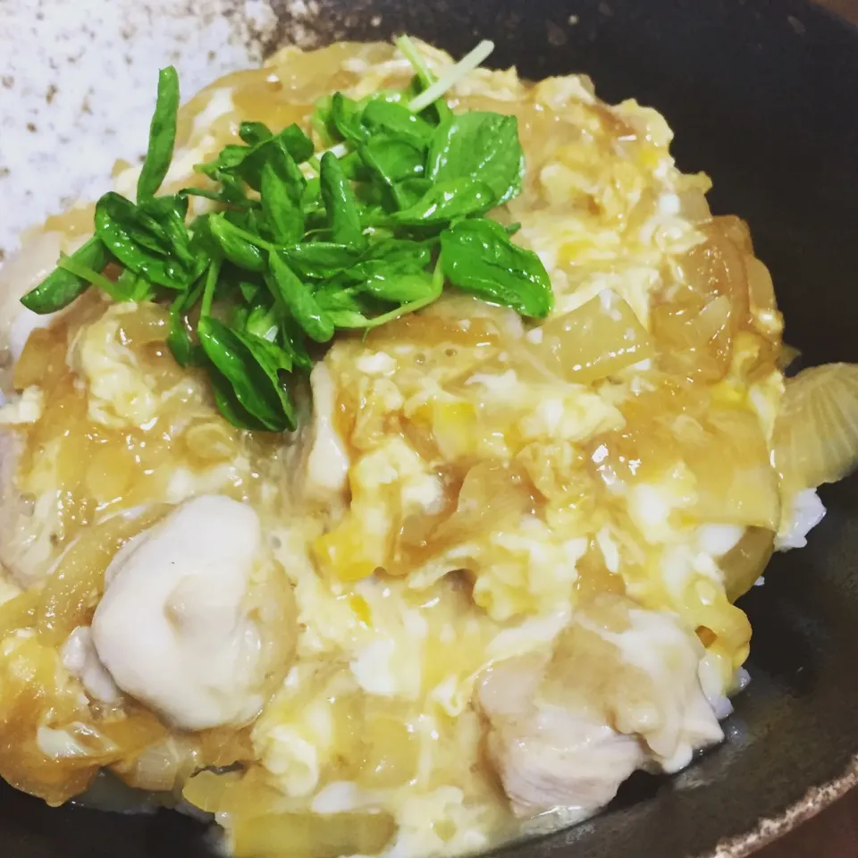 今夜は親子丼
#親子丼|kazzz3さん