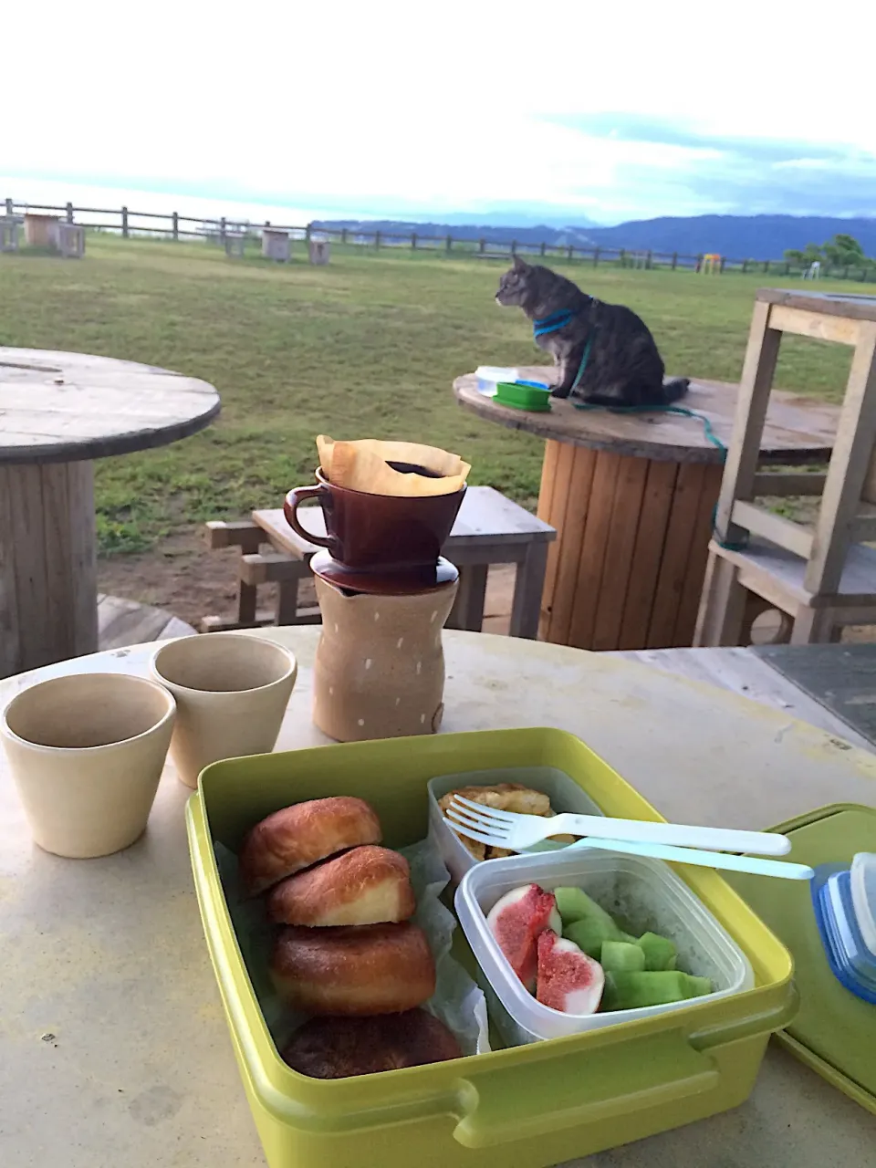 外でコーヒーをたてて、手作りマラサダドーナツとフルーツでブランチ🌅|cherさん