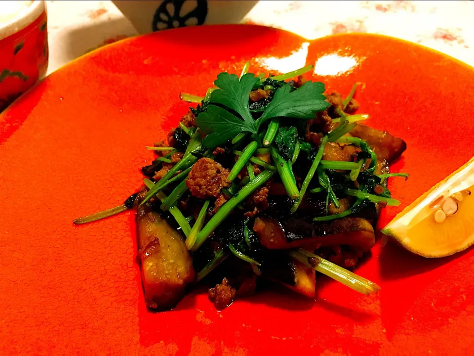 Snapdishの料理写真:#今夜の晩ご飯  挽き肉と茄子🍆&パクチーのナンプラー炒め|mykeyさん