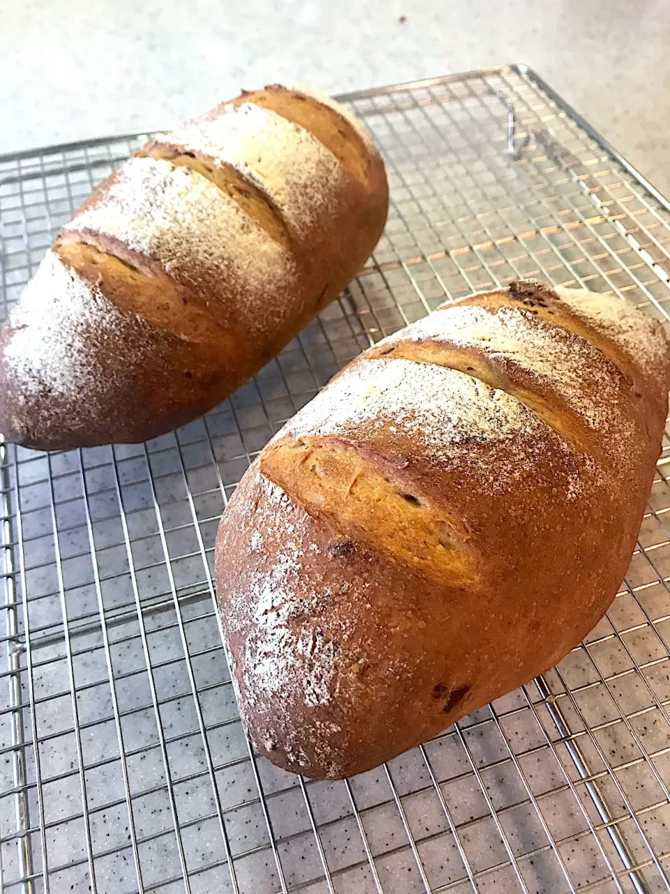 Snapdishの料理写真:古代小麦 カムート、アインコーンのパン🍞|てるりんさん