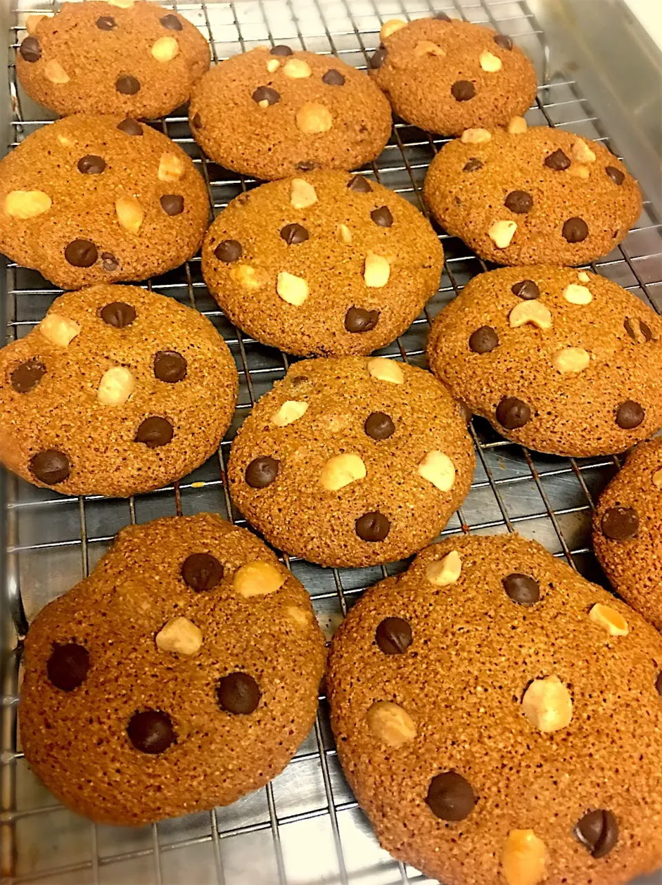 Whole Wheat ChocChips and Macadamia Cookies 🍪 #LkHomemade|Lukkaew_Lkさん